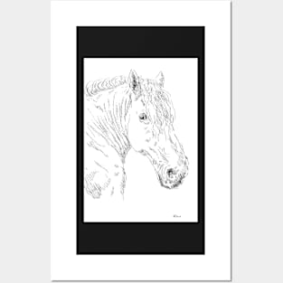 Horse Posters and Art